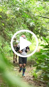 BIB:  <button type="button" onclick="openModal(26823182)" class="btn btn-primary btn-sm float-right" data-toggle="modal" data-target=".modal-high-quality">
                <i class="fa fa-download"></i> Download
                </button>